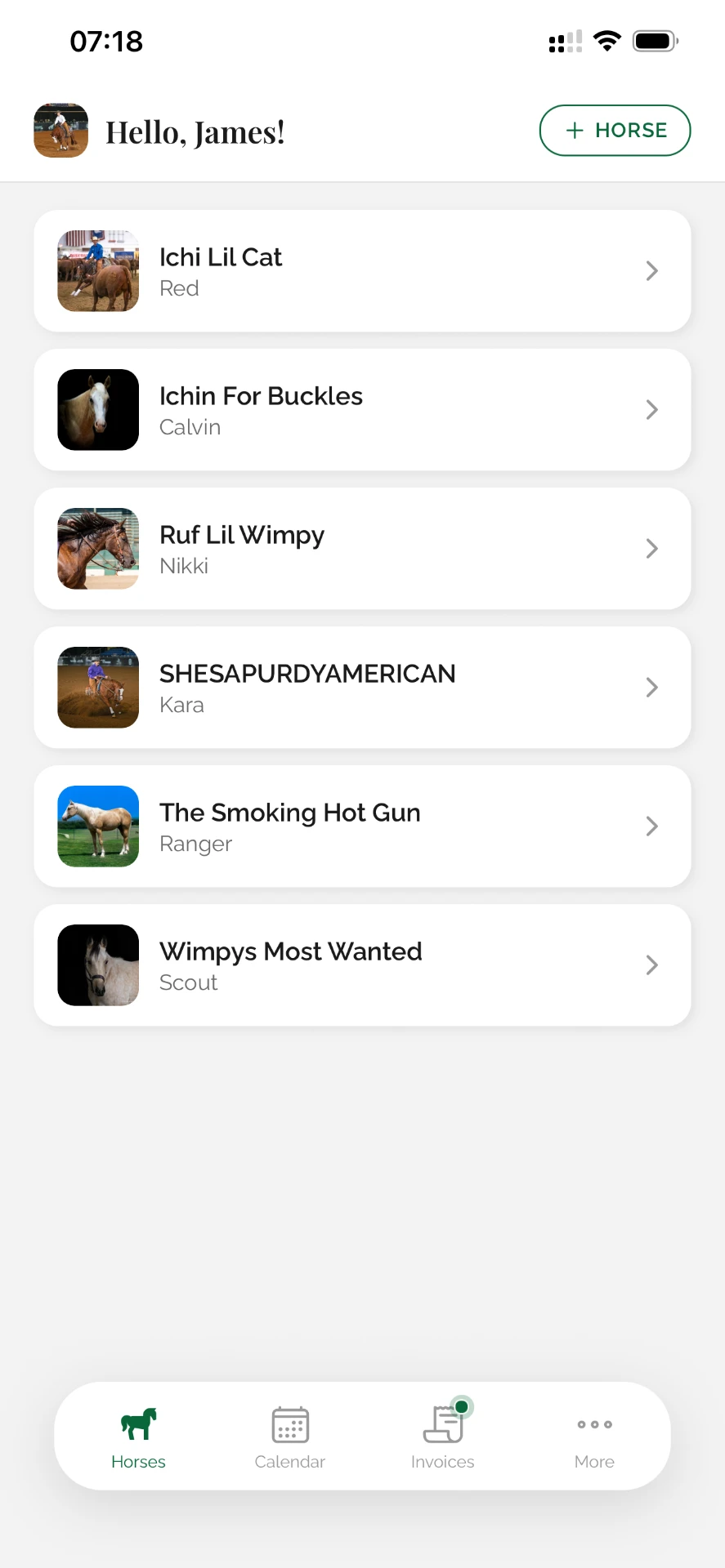 The STABLE pro mobile app showing a list of horses, each with its photo and barn name.
