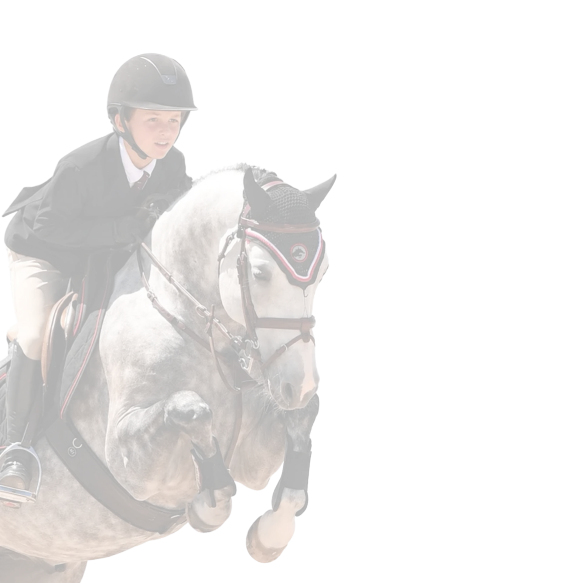 An equestrian and grey horse clearing a jump.